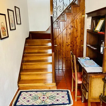 Alfazema Quarto em Acomodações Particulares *